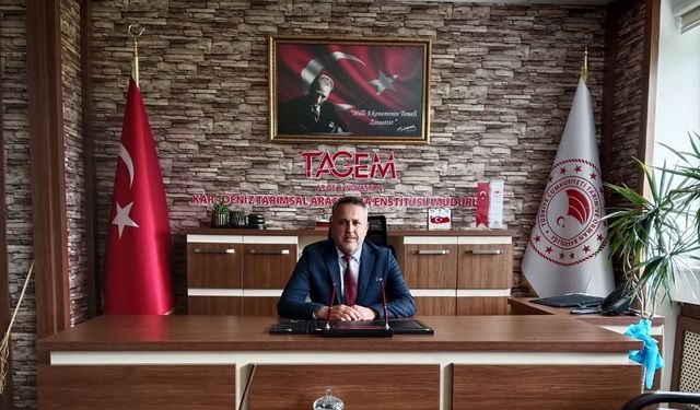 Karadeniz'in mavileştirilmesi için su yosunlarının kullanıldığı proje uluslararası yarışmada finale kaldı