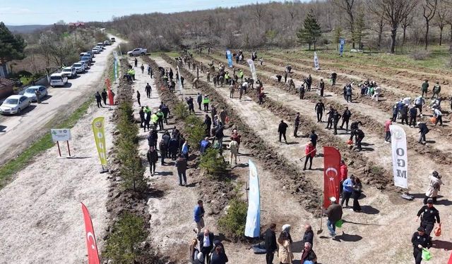 İstanbul'da yasaklı madde operasyonunda şehit olan Emre Albayrak'ın adı hatıra ormanında yaşayacak