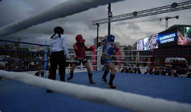 Samsun'da muay thai heyecanı