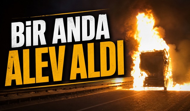 Görele’de Seyir Halindeki TIR Alev Alev Yandı