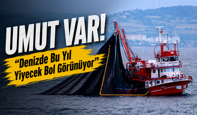 Karadeniz’de Yağışlar Balıkçıların Yeni Sezon Umudunu Artırdı