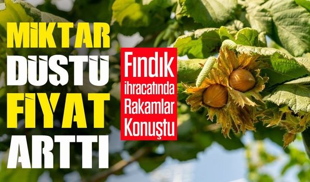 Fındık İhracatında Dikkat Çeken Gerileme! 8 Aylık Rakamlar Açıklandı