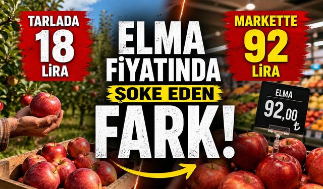 Tarlada 18, Markette 92 Lira: Elma Fiyatında Şoke Eden Fark!