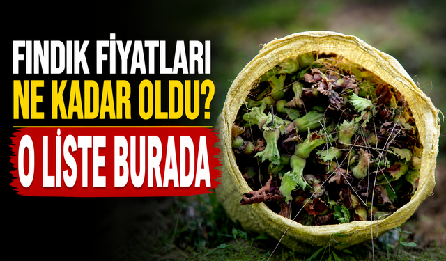 Fındık Fiyatları Ne Kadar Oldu? Güncel İl İl Fındık Fiyatları Açıklandı!