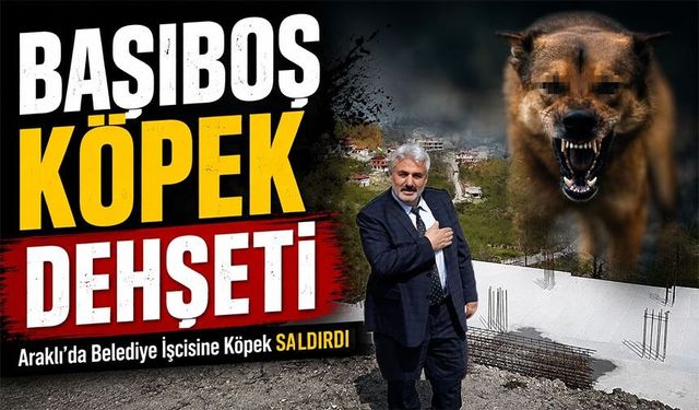 Araklı'da Başıboş Köpek Saldırısı: Mahalle Muhtarından Acil Çözüm Çağrısı