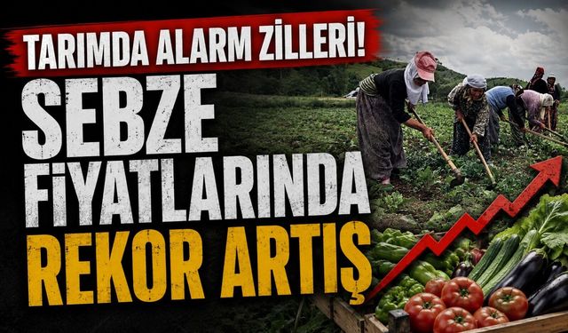 Tarımda Fiyat Alarmı! Üretici Enflasyonu Yüzde 42’yi Aştı