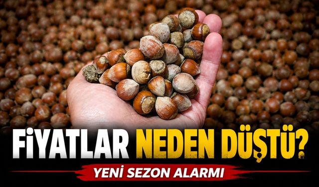 Fındık Fiyatlarında Büyük Makas Açıldı: Giresun Zirveyi Bırakmıyor