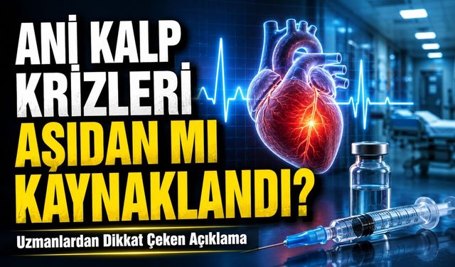 Ani Kalp Krizleri Aşıdan mı Kaynaklandı? Uzmanlardan Dikkat Çeken Açıklama
