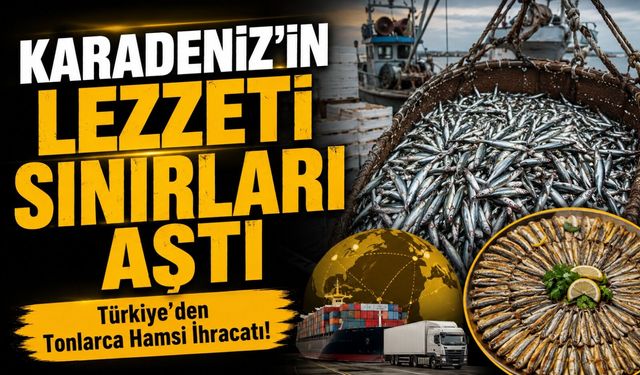 Karadeniz’in Lezzeti Sınırları Aştı; Türkiye’den 2 Bin 662 Ton Hamsi İhracatı!