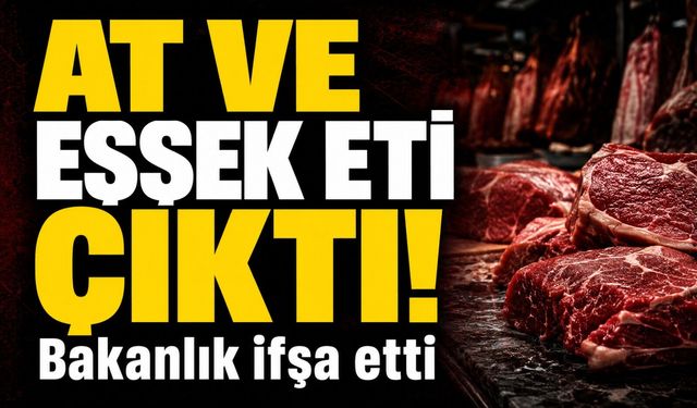 Bakanlık Tek Tek Açıkladı: İçli Köfte ve Kavurmada Şoke Eden Et Skandalı