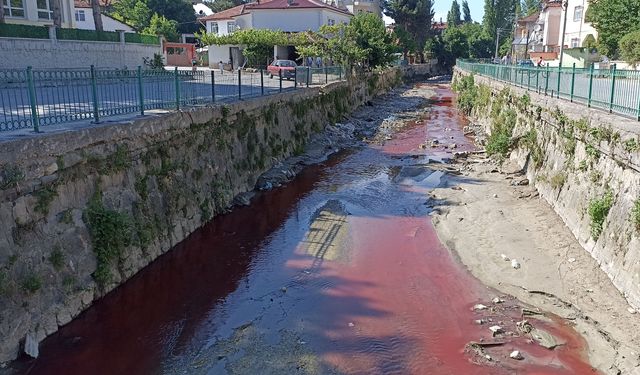 Dereyi zirai ilaç ile kirleten işletmeye suç duyurusu