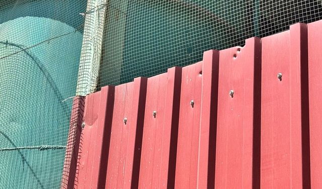 Samsun'da silahlı saldırı sonucu kimyasal sızıntı oluşan tesiste incelemeler sürüyor