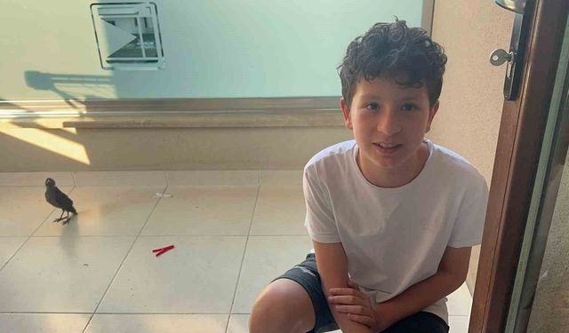 Bulduğu yavru kargalara evinde bakıyor