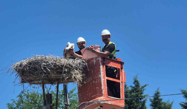 Tekirdağ'da Leylek Festivali