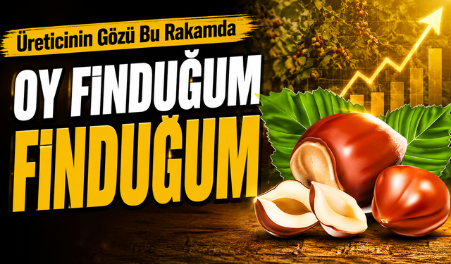 Üreticinin Gözü Bu Rakamda: Fındıkta İl İl Güncel Fiyatlar