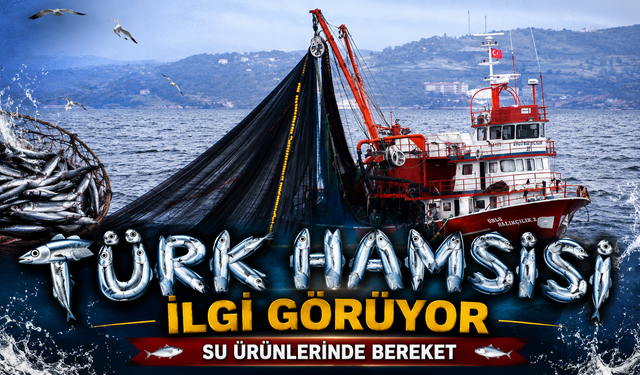 Türkiye’nin Hamsi İhracatı 5 Ayda 7,3 Milyon Doları Aştı