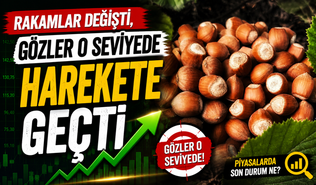 Fındık Piyasasında Cuma Ateşi: Rakamlar Değişti, Gözler O Seviyede
