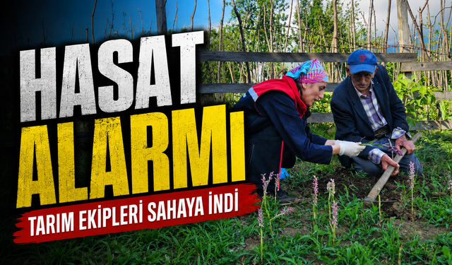 Şalpazarı’nda Salep Hasadı Denetlendi! Üreticilere Kritik Uyarılar Yapıldı