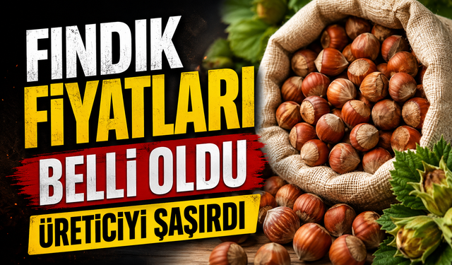 Fındık Fiyatları Belli Oldu: Serbest Piyasada Üreticiyi Şaşırtan Tablo