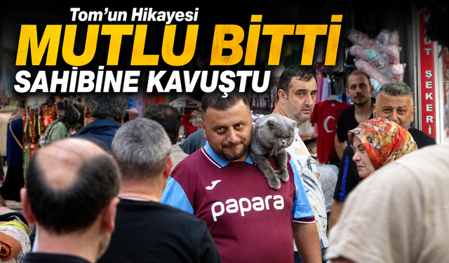 Trabzonspor Formalı Kedi Tom 4 Gün Sonra Çalılıkların Arasında Bulundu