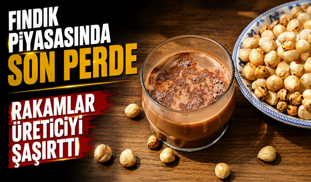 Fındık Piyasasında Son Perde: Rakamlar Üreticiyi Şaşırttı