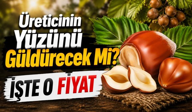 Fındık Fiyatları Üreticinin Yüzünü Güldürecek Mi? İşte O Fiyatlar…
