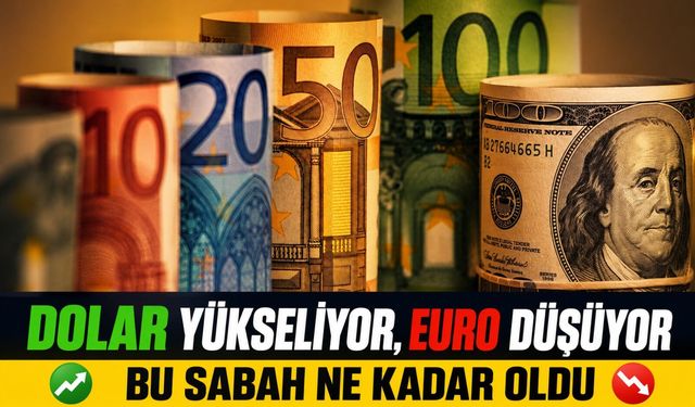 Dolar Yükseliyor, Euro Düşüyor: Piyasalarda Son Durum ve Haftalık Analiz