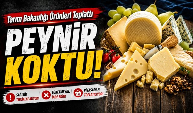 Tahsildaroğlu Peynirinde Listeria Alarmı! Şirketten Dikkat Çeken Açıklama
