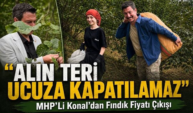 MHP'li Konal’dan Fındık Fiyatı Çıkışı: Alın Teri Ucuza Gitmez