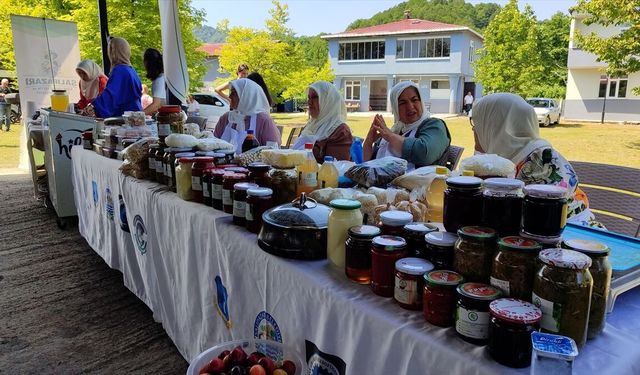 Samsun'da coğrafi işaretli Salıpazarı kestane balında hasat dönemi başladı