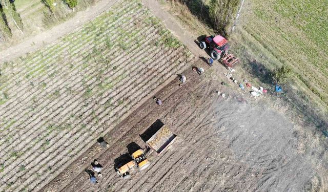 Bayburt'ta ÇKS kayıtları askıya çıktı