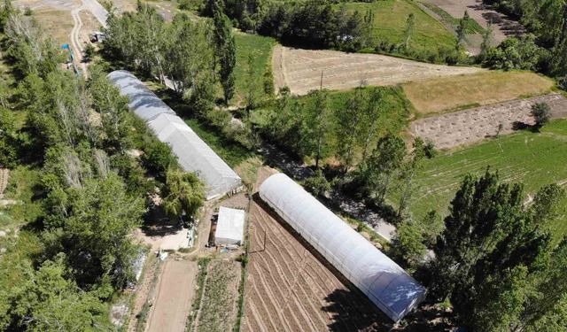 Bayburt'ta yüzde 70 hibeli sera projesi için başvurular yarın başlıyor