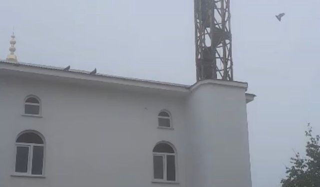 Güvercin yuvası minare yıkımını erteledi