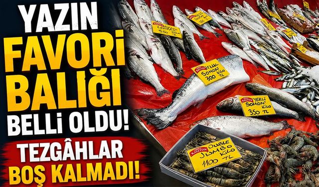 Av Yasağı Sürüyor, Tezgâhların Yaz Favorisi Belli Oldu
