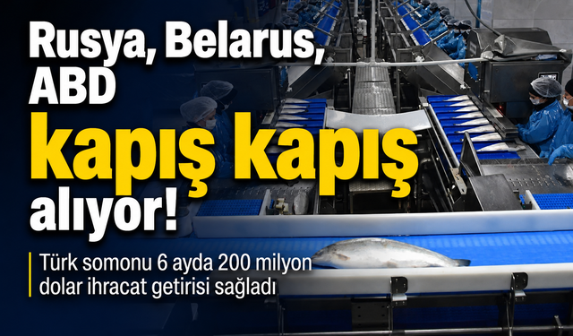 Somon 6 Ayda Türkiye'ye Kaç Bin Dolar Kazandırdı? Şok Veriler Açıklandı!