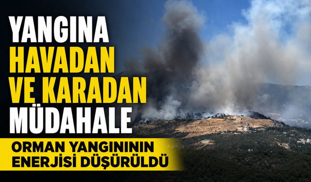 Orman Yangınının Enerjisi Düşürüldü