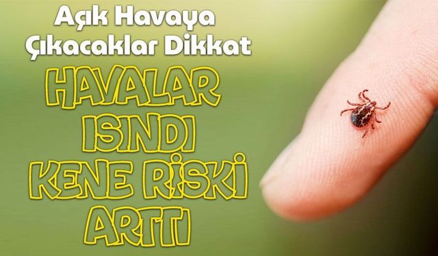 Açık Havaya Çıkacaklar Dikkat: Uzmanlardan Kene Isırıklarına Karşı Hayat Kurtaran Uyarılar