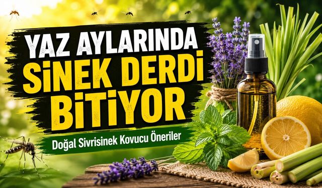 Yaz Aylarında Sinek Derdi Bitiyor: Doğal Sivrisinek Kovucu Öneriler
