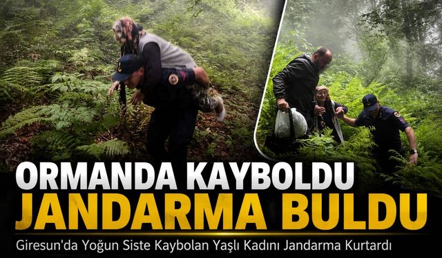 Giresun'da Yoğun Siste Kaybolan Yaşlı Kadını Jandarma Kurtardı