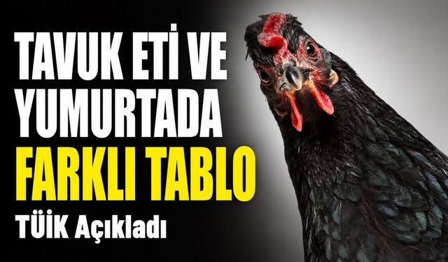Tüik’in Mayıs Verileri Açıklandı: Tavuk Eti Ve Yumurtada Farklı Tablo