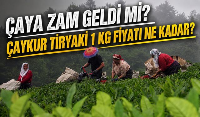 Çaya Zam Geldi Mi? Çaykur Tiryaki 1 KG Fiyatı Ne Kadar?