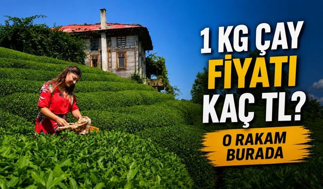 Çaya Zam mı Geldi? Marketlerde 1 kg Çay Fiyatı Kaç TL?