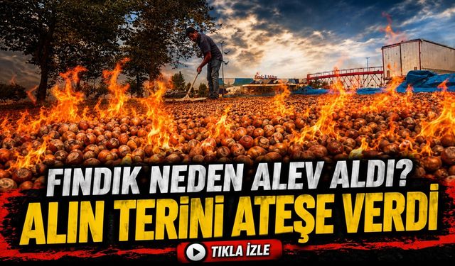 Fındıkta Fiyat Krizi Büyüyor: Trabzonlu Üretici Ürününü Yakarak Tepki Gösterdi