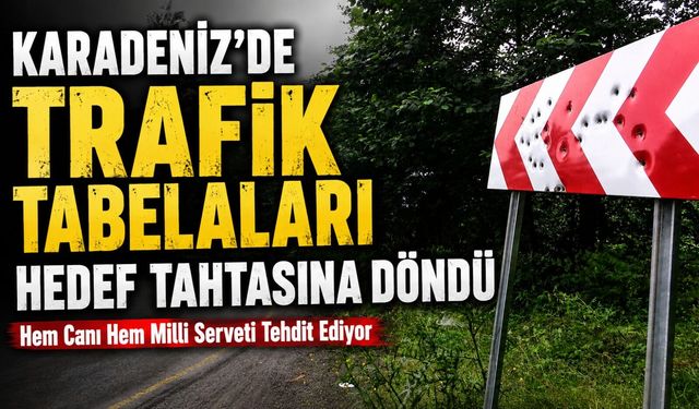 Karadeniz’de Trafik Tabelaları Hedef Tahtasına Döndü; Hem Canı Hem Milli Serveti Tehdit Ediyor