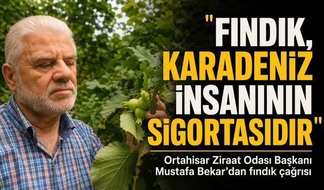 Ortahisar Ziraat Odası Başkanı Mustafa Bekar'dan Fındık Çağrısı; "Fındık, Karadeniz İnsanının Sigortasıdır"