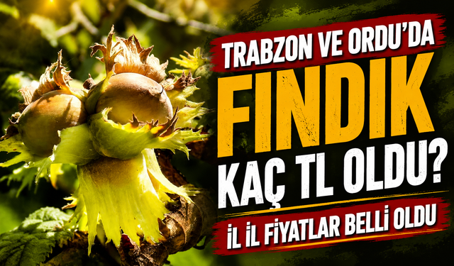 Üretici Satmadan Önce Fındık Fiyatları Ne Kadar?