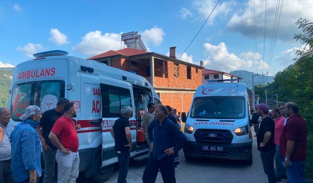 Ordu’da Patpat Devrildi: 2’si Çocuk 3 Kişi Yaralandı