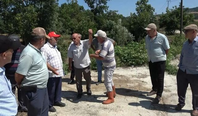 Balık Ölümlerine Neden Olan Tesise 839 Bin TL Ceza