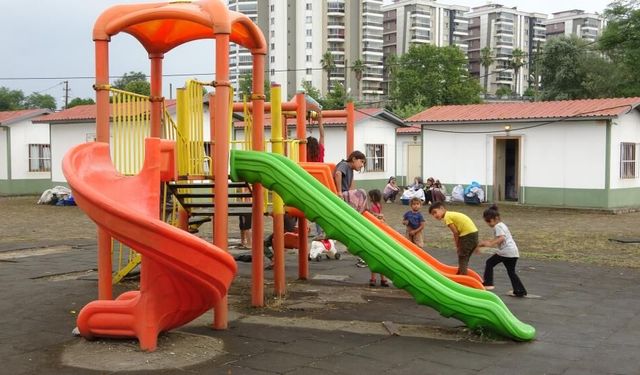 Fındık Hasadı Başlıyor Ama İşçi Yoğunluğu Beklenen Seviyede Değil