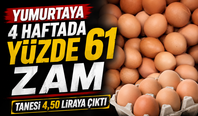 Yumurta fiyatında 4 haftalık büyük değişim: Artış yüzde 61’i buldu